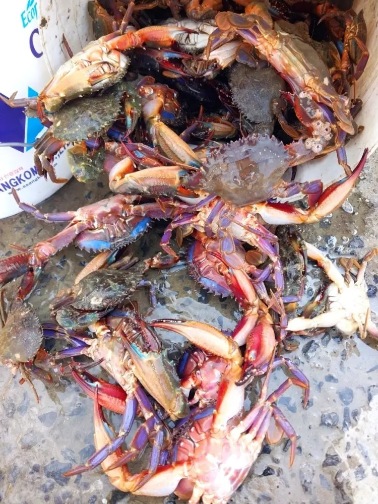 관리도 길식당 음식