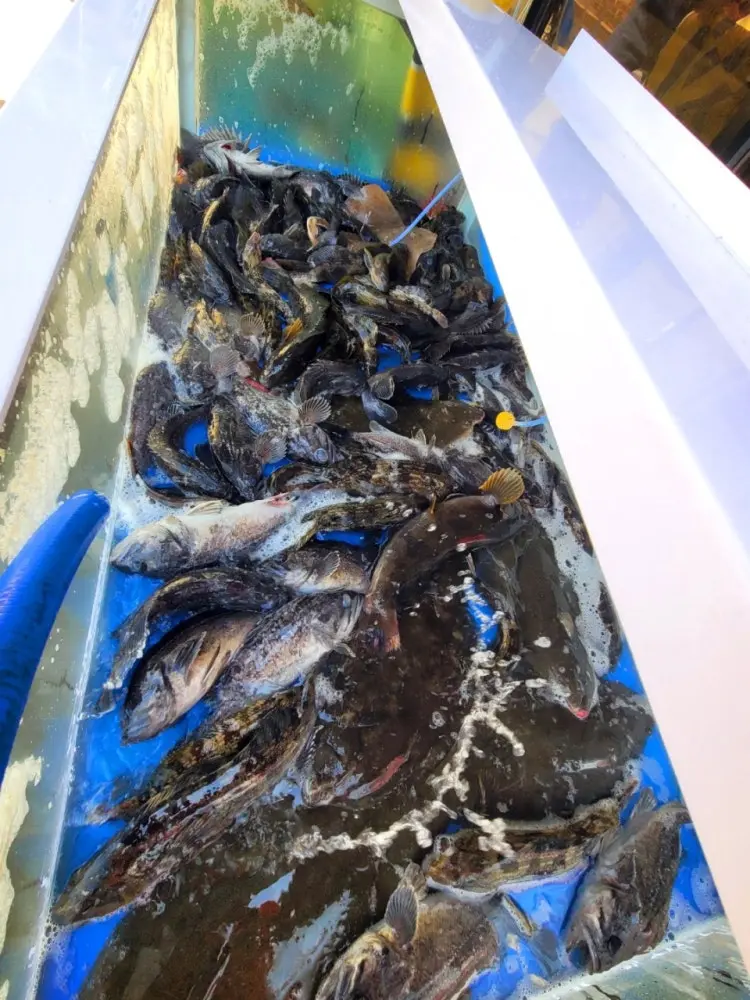 관리도 길식당 음식